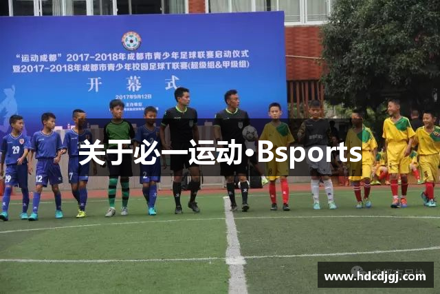 关于必一运动·Bsports